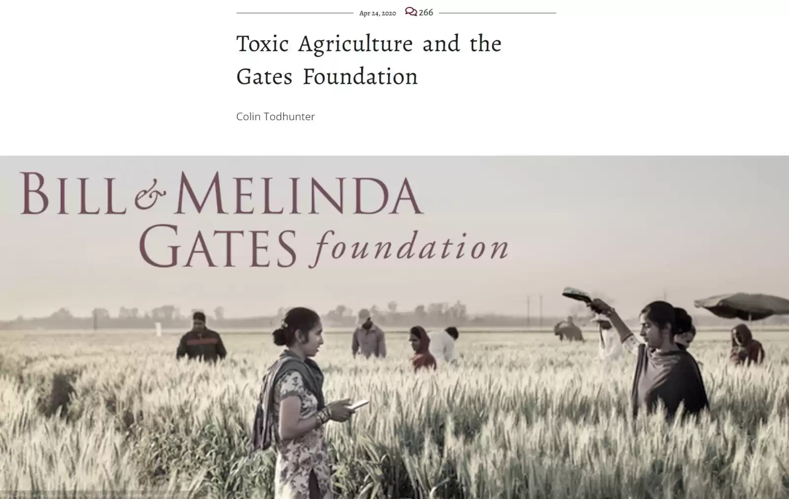 Toksyczne rolnictwo i Fundacja Gatesów